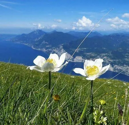 Monte Baldo Хостел *
